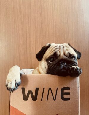 Save water drink wine!